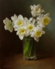 Narcissus